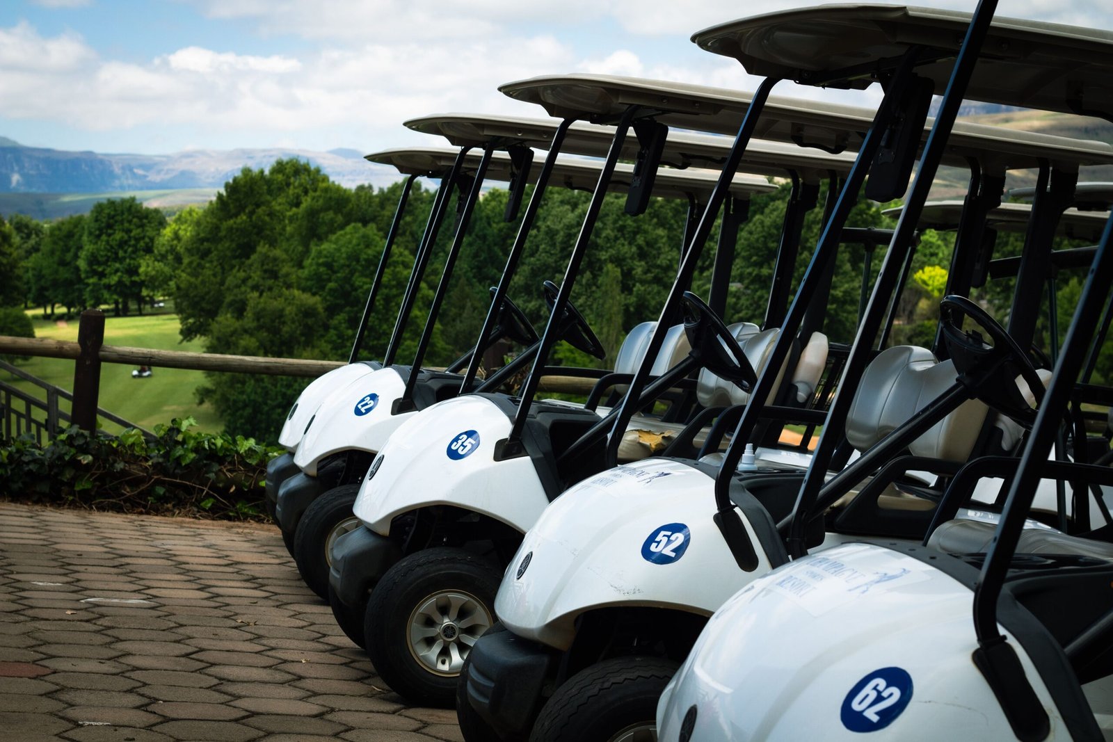 Fila de buggies numerados junto a un campo de golf