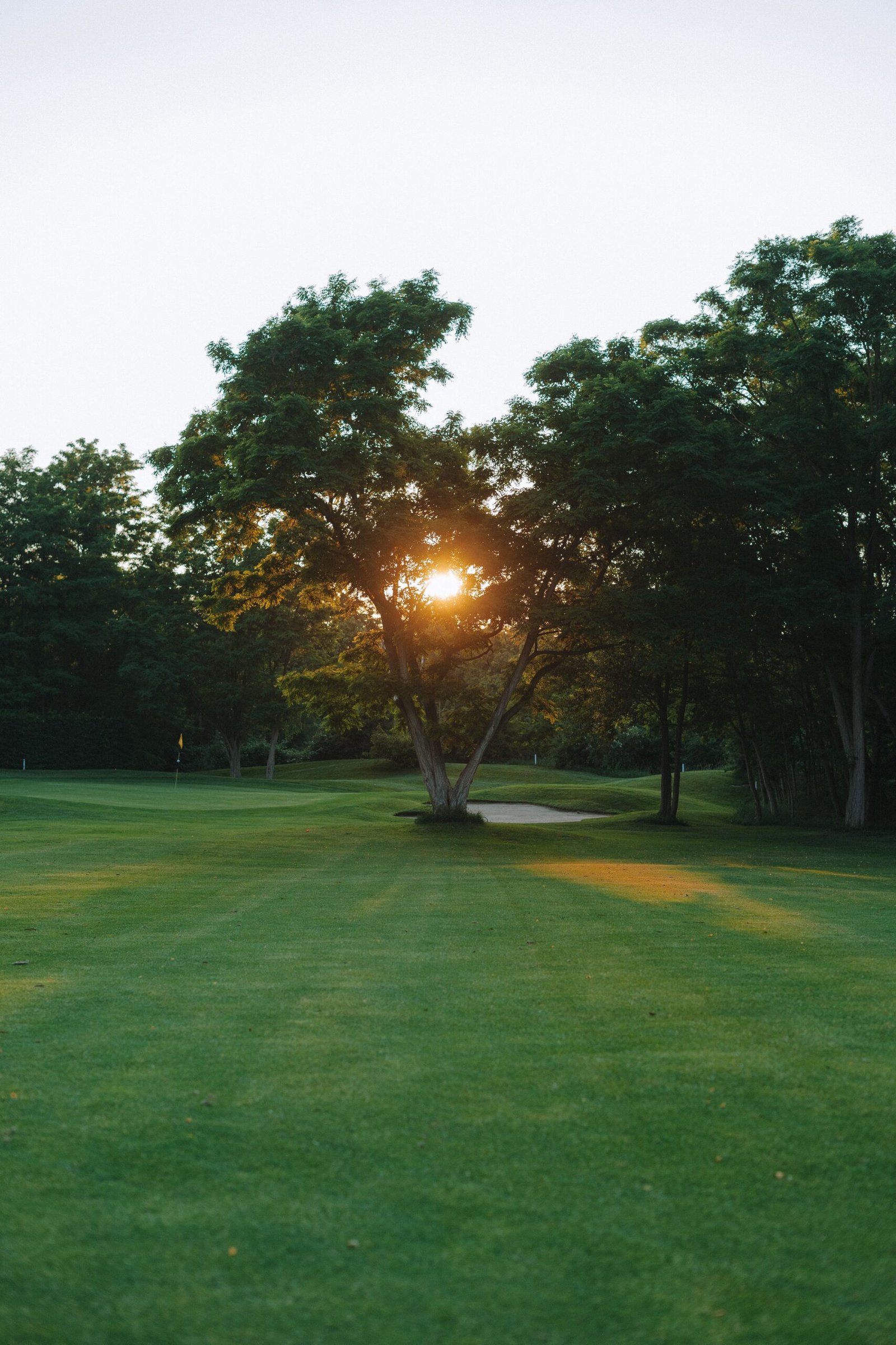 Amanecer en un campo de golf: el sol entra entre los árboles junto a un búnker